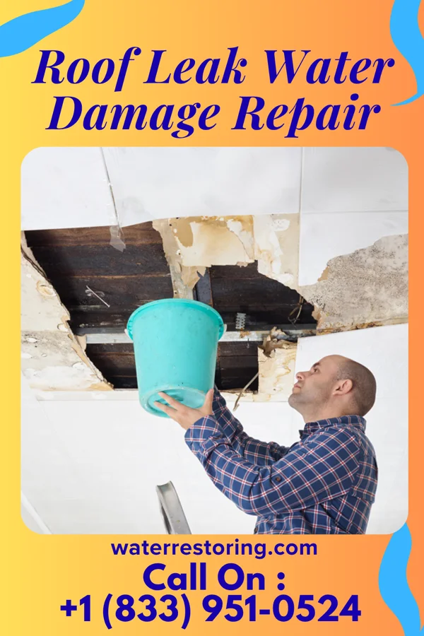 Roof Leak Water Damage Repair in Federal Way, WA